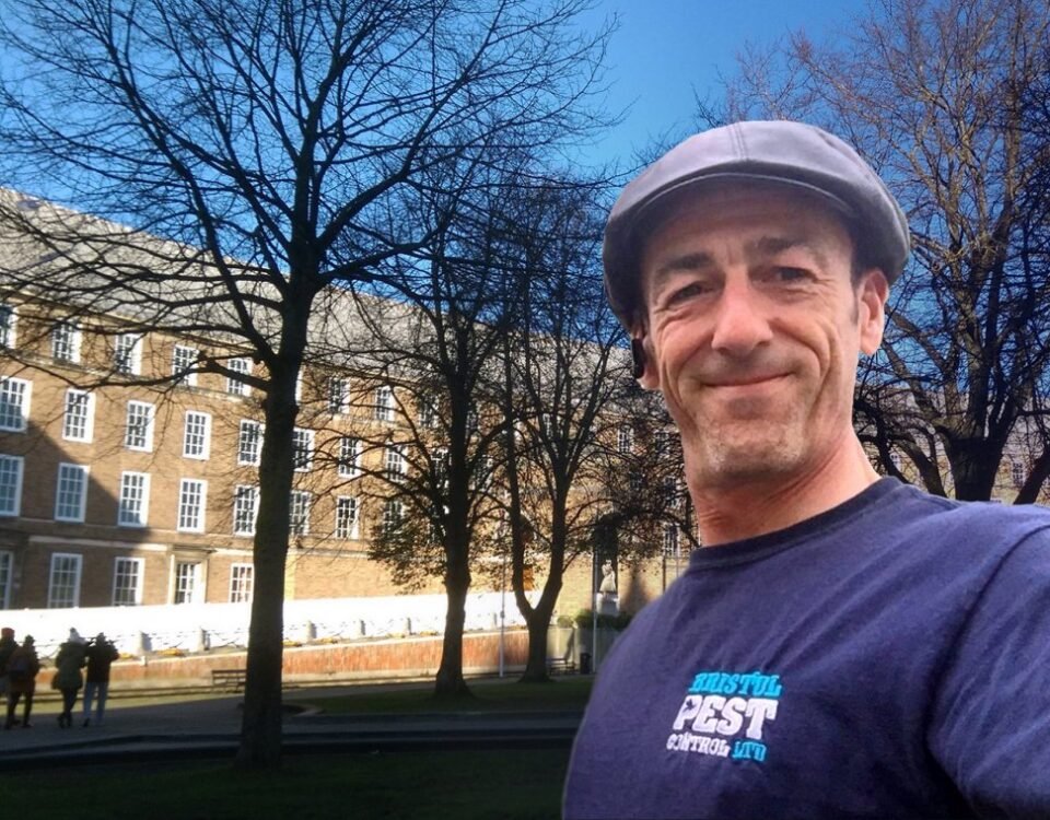 fast effective pest removal bristol chew valley pest control